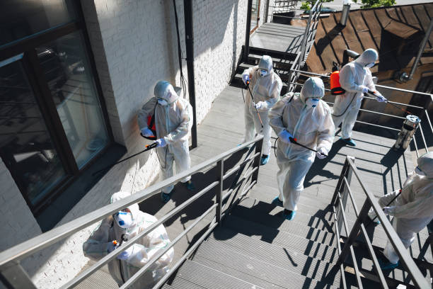 Best Mold Remediation for Healthcare Facilities  in Kalifornsky, AK