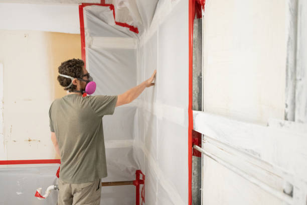 Mold Remediation for Vacation Homes in Kalifornsky, AK